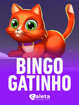 Bingo Gatinho